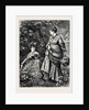Fern Gatherers by Anonymous