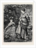 Fern Gatherers by Anonymous