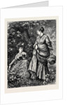Fern Gatherers by Anonymous