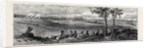 The Autumn Manoeuvres: Sir Alfred Horsford's Left on Launceston Heath Down by Anonymous