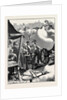 Sketches at a Northampton Wool Fair: Weighing-in by Anonymous