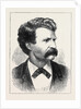 American Humorist: Samuel Langhorne Clemens (Mark Twain) by Anonymous