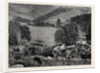 The Prince of Wales at Blair Athole, Bringing Home the Deer by Anonymous
