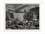 The Prince of Wales at Blair Athole, Bringing Home the Deer by Anonymous