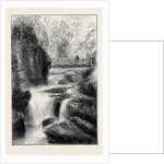 The Cinchona Plantations at Darjeeling, Bengal: Foot-Bridge Over the River Rungbee by Anonymous