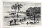 How I Found Livingstone: Discomforts of African Travel: The Makata Swamp by Anonymous