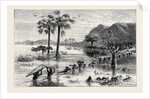 How I Found Livingstone: Discomforts of African Travel: The Makata Swamp by Anonymous
