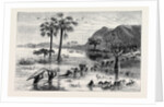 How I Found Livingstone: Discomforts of African Travel: The Makata Swamp by Anonymous