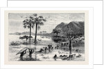 How I Found Livingstone: Discomforts of African Travel: The Makata Swamp by Anonymous
