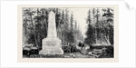 The San Juan Boundary Question: Boundary Line Between British Columbia and the United States by Anonymous