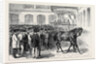 Sale of the Horses of the Tenth Hussars at Tattersall's: Crusader Under the Hammer by Anonymous
