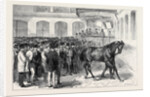 Sale of the Horses of the Tenth Hussars at Tattersall's: Crusader Under the Hammer by Anonymous