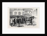 Sale of the Horses of the Tenth Hussars at Tattersall's: Crusader Under the Hammer by Anonymous