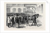 Sale of the Horses of the Tenth Hussars at Tattersall's: Crusader Under the Hammer by Anonymous
