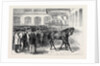 Sale of the Horses of the Tenth Hussars at Tattersall's: Crusader Under the Hammer by Anonymous