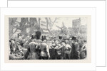 The Recent Fenian Demonstration in Hyde Park, London by Anonymous