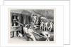 Macaroni Makers at Naples by Anonymous