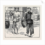 Life in China: Coolies by Anonymous
