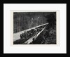 Sketches in New York During the Presidential Election: Evening Procession of Political Clubs Viewed from a Window by Anonymous