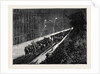 Sketches in New York During the Presidential Election: Evening Procession of Political Clubs Viewed from a Window by Anonymous