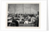 The Hyde Park Prosecutions: A Sketch in Marlborough Street Police Court, London by Anonymous