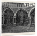 A Visit to the Battlefield of Solferino: Bones in the Ossuary by Anonymous