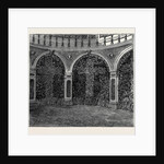 A Visit to the Battlefield of Solferino: Bones in the Ossuary by Anonymous