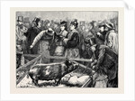 Visitors at the Cattle Show: A Pig Pen by Anonymous