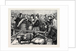 Visitors at the Cattle Show: A Pig Pen by Anonymous