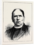 The Civil War in Callan: The Rev. Father O'Keeffe by Anonymous