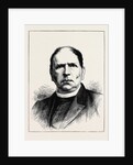The Civil War in Callan: The Rev. Father O'Keeffe by Anonymous