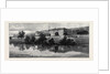 View of Chatsworth from the River Derwent by Anonymous