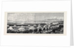 The Grand Durbar at Bombay: The Investiture Procession and General View of the Tents by Anonymous