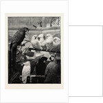 A Select Committee by Anonymous