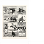 My First and Last Experience of a Broncho by Anonymous