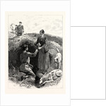 Grouse Shooting on the Moors: The Cup that Cheers, But Not Inebriates by Anonymous