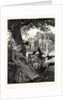 Unwelcome Visitors: Crows at a Tennis Party in India by Anonymous