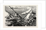 Norway: Nearing Home, a Message from the Shore by Anonymous