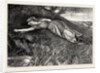 Tess of the D'Urbervilles: Tess Flung Herself Down Upon the Undergrowth of Rustling Spear-Grass As Upon a Bed by Anonymous