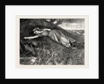 Tess of the D'Urbervilles: Tess Flung Herself Down Upon the Undergrowth of Rustling Spear-Grass As Upon a Bed by Anonymous