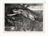Tess of the D'Urbervilles: Tess Flung Herself Down Upon the Undergrowth of Rustling Spear-Grass As Upon a Bed by Anonymous
