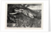 Tess of the D'Urbervilles: Tess Flung Herself Down Upon the Undergrowth of Rustling Spear-Grass As Upon a Bed by Anonymous