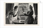 The Parrot and the Cabbies, an Incident at a Seaside Holiday Resort: The Cause (the Parrot Has Taught Itself the Cab Whistle) by Anonymous