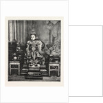 The Crown Prince of Siam in State Robes by Anonymous