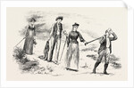 The Holiday Season in Wales, the Ascent of Snowdon: Afternoon: The Party Returns by Anonymous
