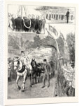 The Harvest at the Philanthrophic Home for Boys at Redhill: The Last Load by Anonymous