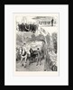 The Harvest at the Philanthrophic Home for Boys at Redhill: The Last Load by Anonymous