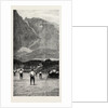 The English Football Team in South Africa, the Last Match at Cape Town by Anonymous