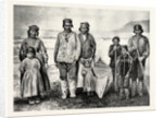 The Supposed New Tribe of Indians in Labrador by Anonymous