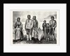 The Supposed New Tribe of Indians in Labrador by Anonymous